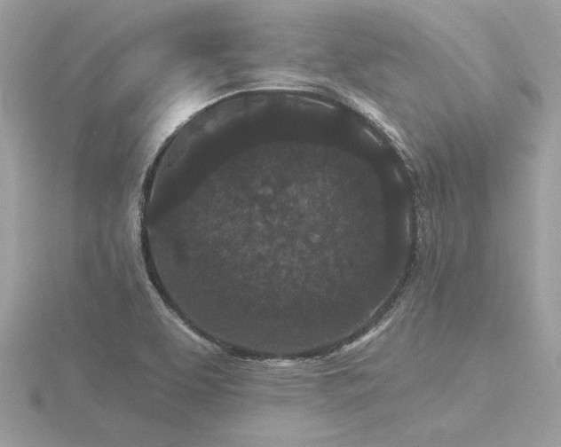 X0000116571463200912101500