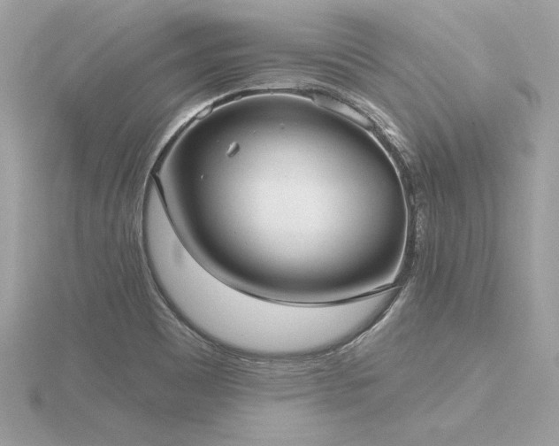 X0000116571465200912101500