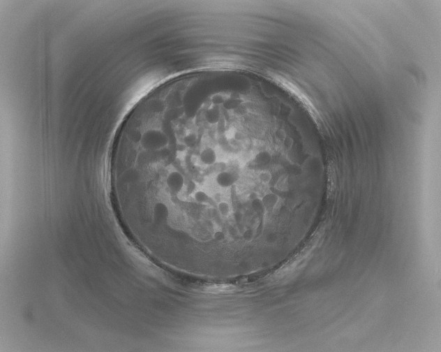 X0000116571467200912101500