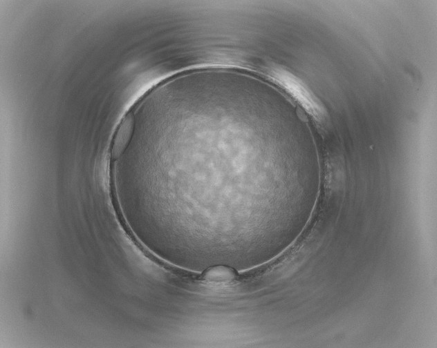 X0000116571468200912101500