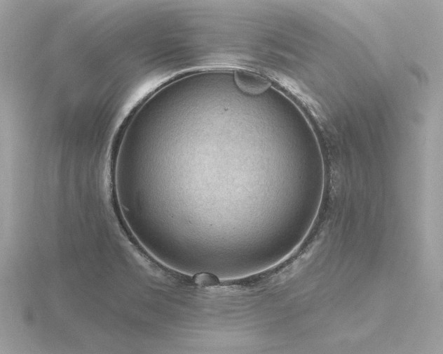 X0000116571469200912101500