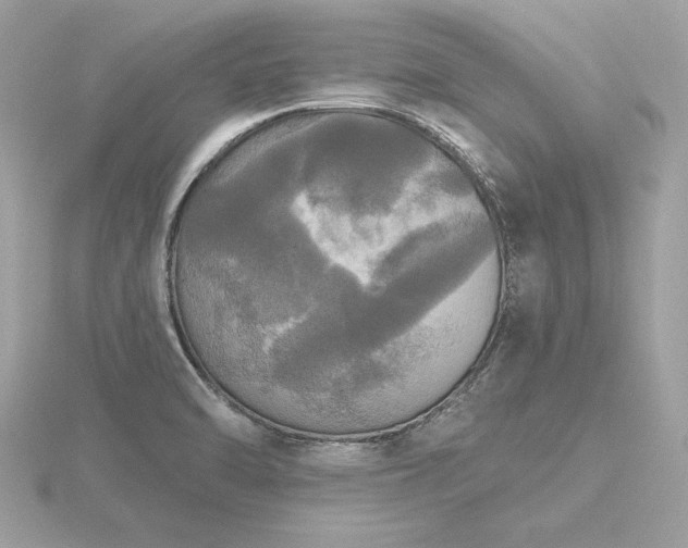 X0000116571470200912101500