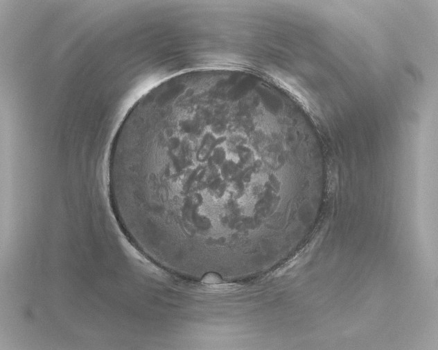 X0000116571471200912101500