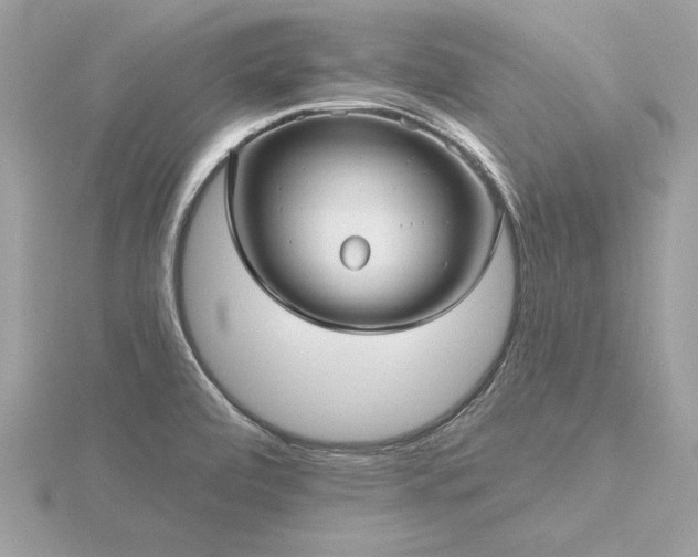 X0000116571472200912101500