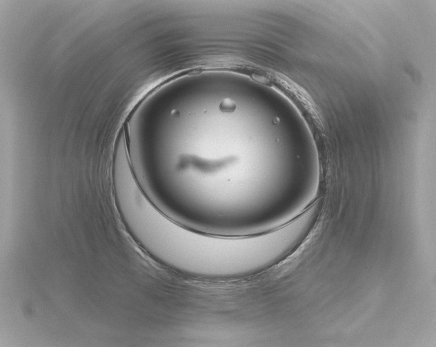 X0000116571473200912101500