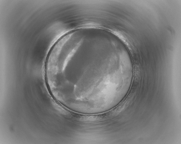 X0000116571474200912101500