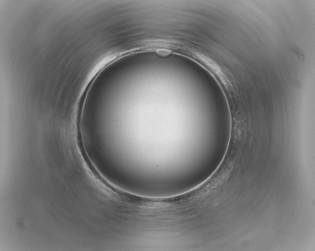 X0000116571475200912101500