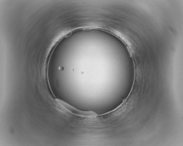 X0000116571477200912101500