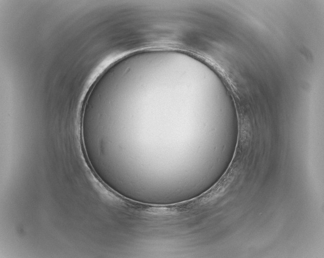 X0000116571478200912101500