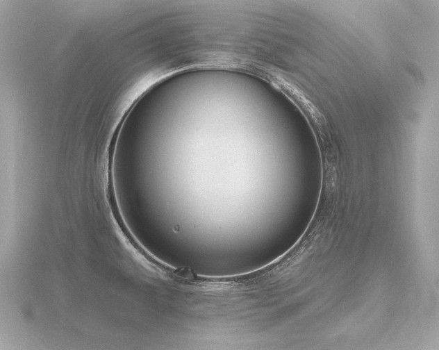 X0000116571479200912101500