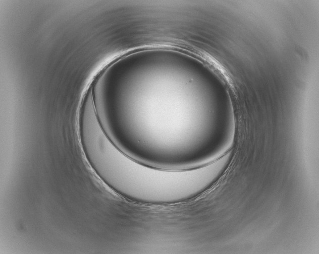 X0000116571480200912101500