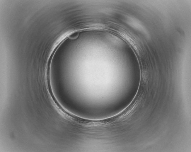 X0000116571482200912101500