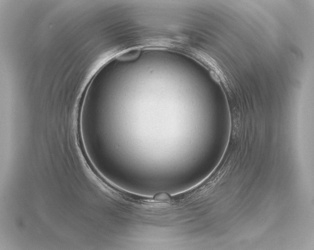 X0000116571483200912101500