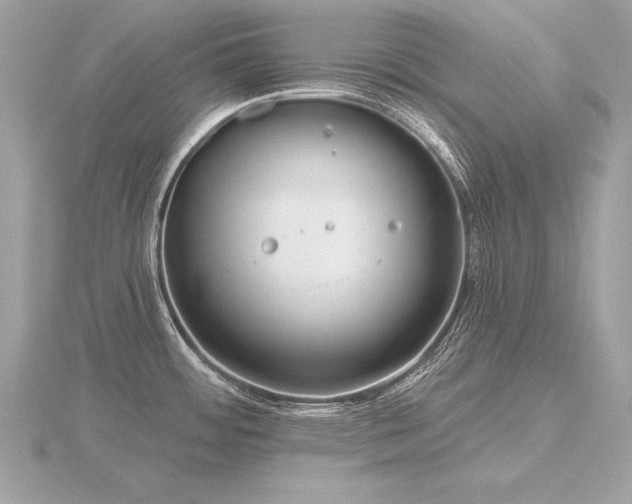 X0000116571484200912101500