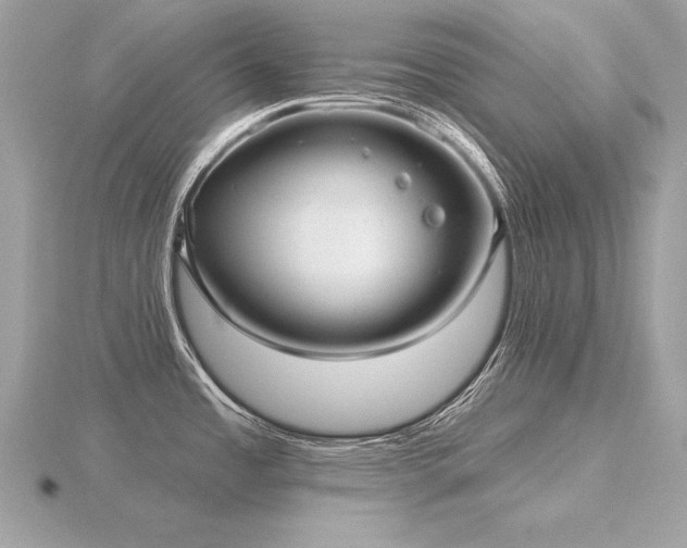 X0000116571485200912101500