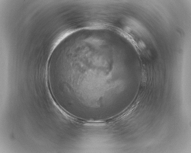 X0000116571487200912101500