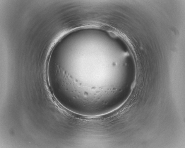 X0000116571488200912101500