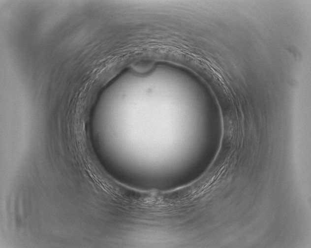 X0000116571489200912101459