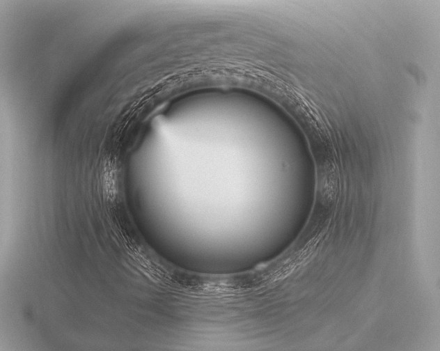 X0000116571490200912101459