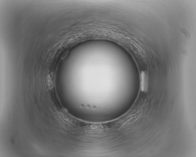 X0000116571491200912101459