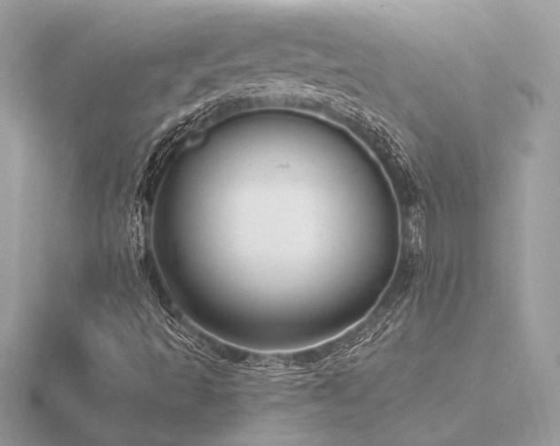 X0000116571493200912101459