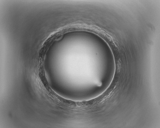 X0000116571494200912101459