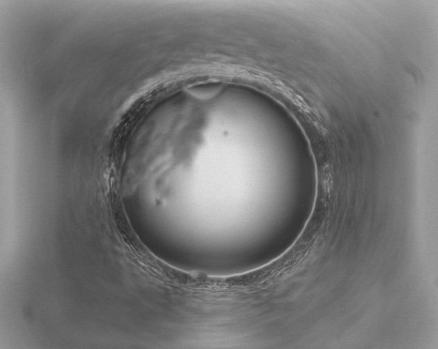 X0000116571495200912101459