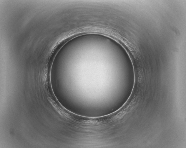 X0000116571499200912101459