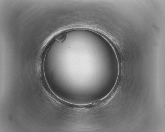 X0000116571502200912101500