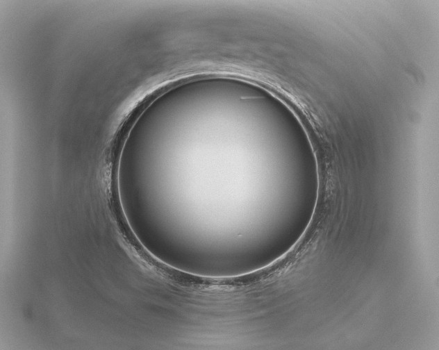 X0000116571503200912101500