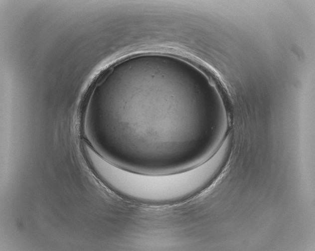 X0000116571506200912101500