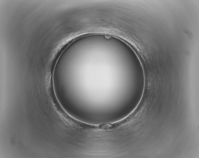 X0000116571507200912101500