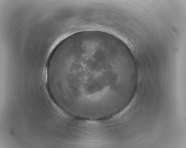 X0000116571509200912101500