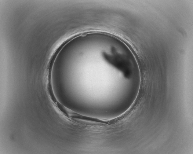 X0000116571511200912101500