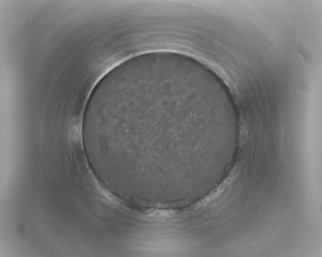 X0000116571513200912101500