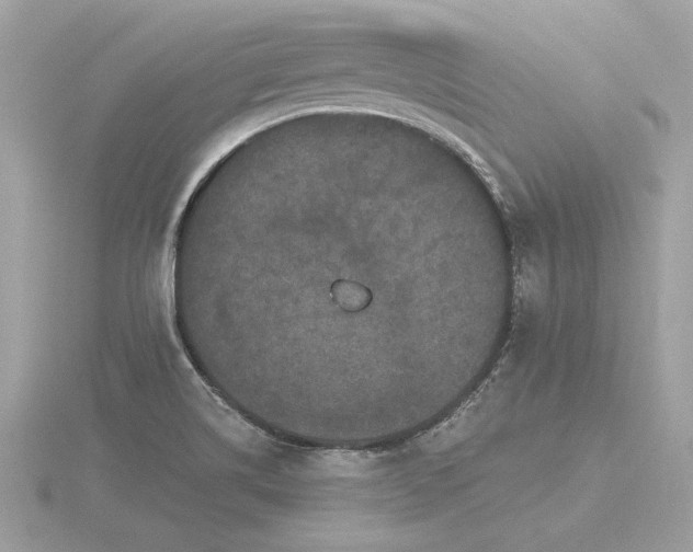 X0000116571514200912101500