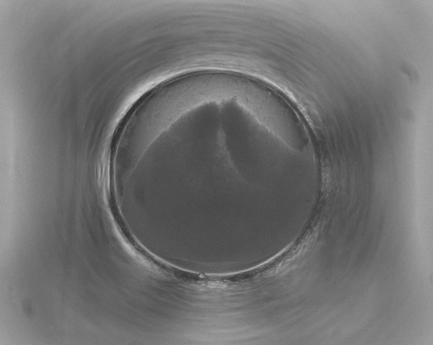 X0000116571515200912101500