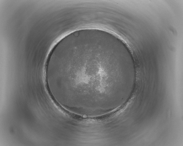 X0000116571517200912101500