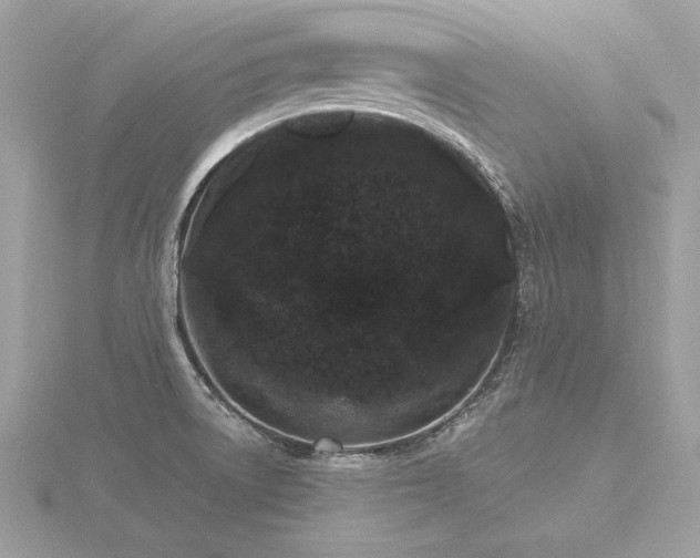 X0000116571522200912101500