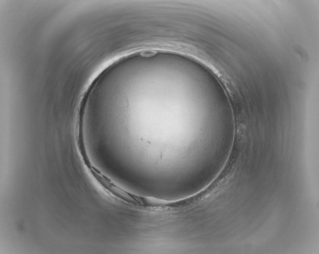 X0000116571523200912101500