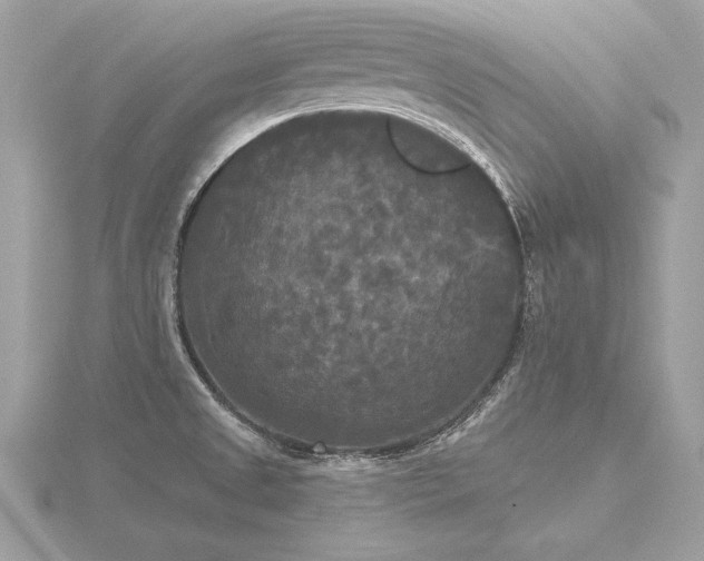 X0000116571525200912101500