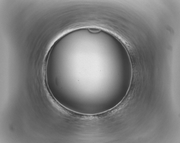 X0000116571526200912101500