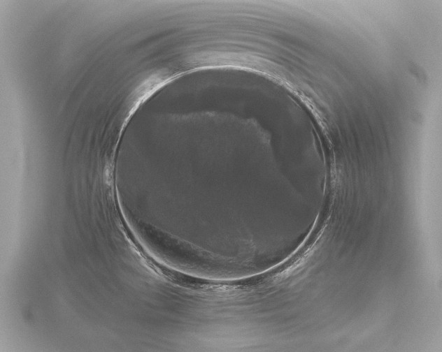 X0000116571529200912101500