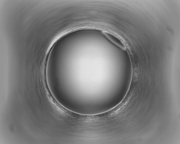 X0000116571530200912101500