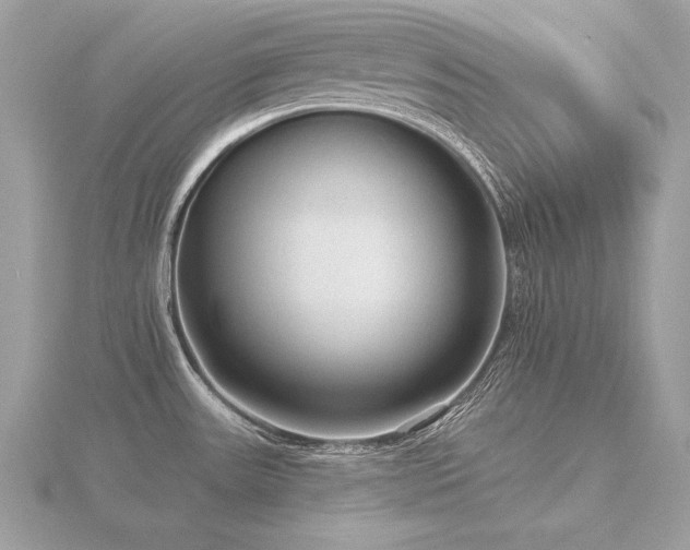 X0000116571531200912101500