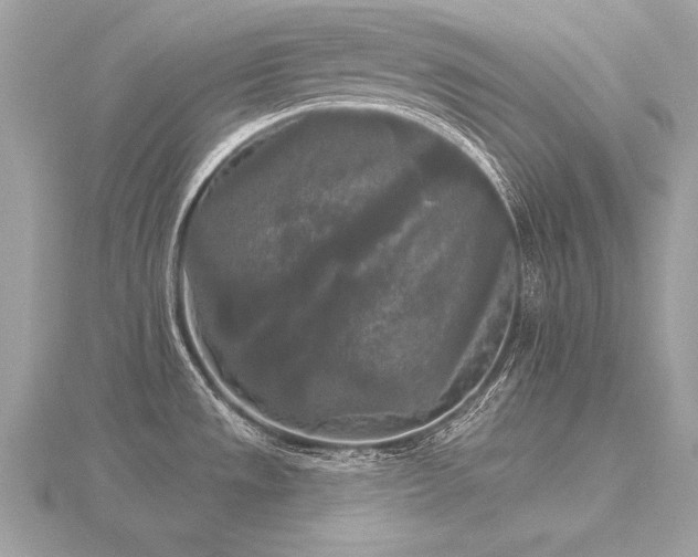 X0000116571533200912101500