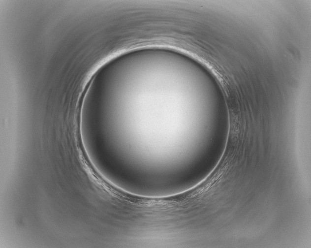 X0000116571534200912101500