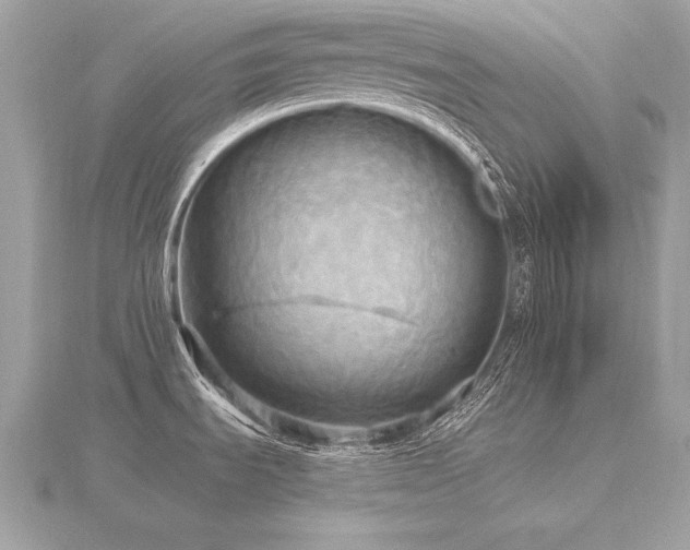 X0000116571535200912101500