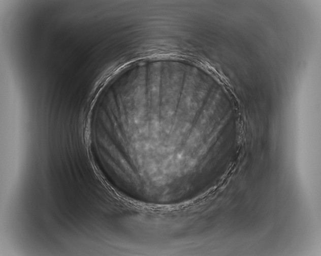 X0000116570002200912171513