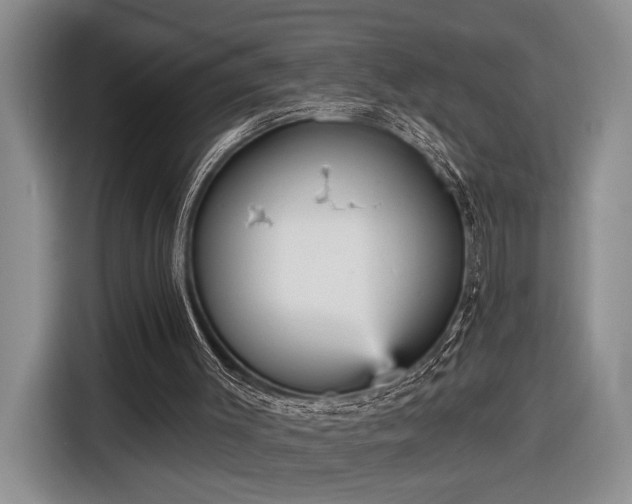 X0000116570003200912171513